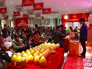 装饰11月感恩盛典，城市生活展厅座无虚席！