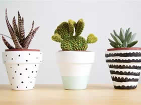 装修设计花盆 你家的花盆可以是独一无二的