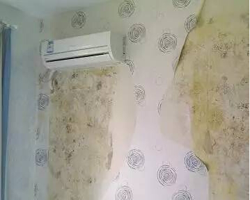 装修公司告诉你：墙壁发霉怎么办？超有效的小方法让它恍然一新