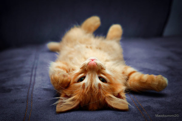 只有适合你家的，才是对的