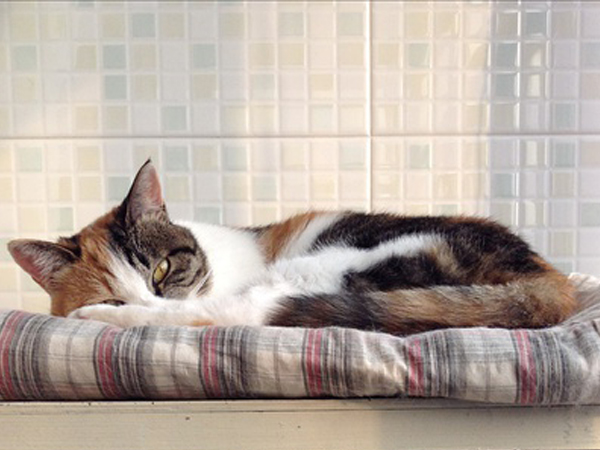 厦门装修公司教您如何搞定厨房的清洁问题