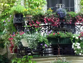 阳台想要种花怎么装修合适？