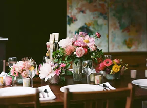 家居绿植不同的摆放方法