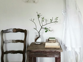 家居各区域摆放植物的注意事项