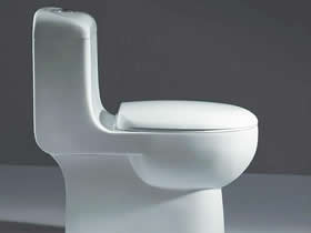 根据需求选购合适的冲水马桶攻略