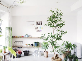 二手房墙面翻新需要留意哪些问题？