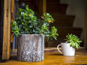 这些甲醛去除方法该拔草了！！！